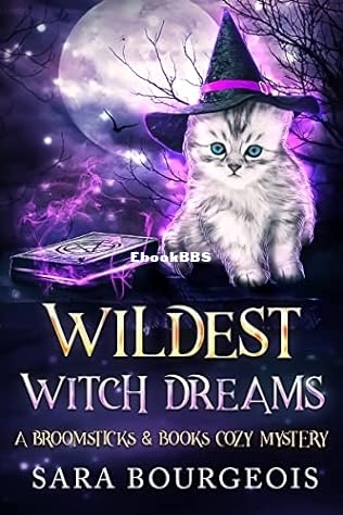 Wildest Witch Dreams.jpg
