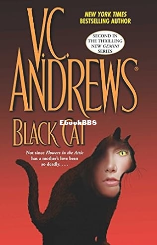 Black Cat.jpg