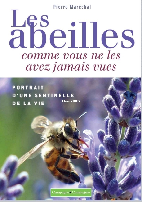 Les Abeilles Comme Vous Ne Les Avez Jamais Vues - Pierre Marechal.jpg