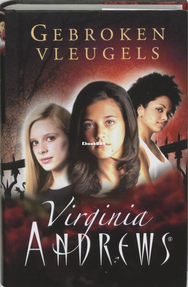 gebroken vleugels 1.jpg