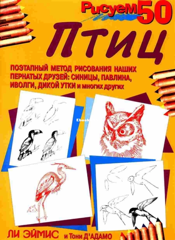 cover.jpg
