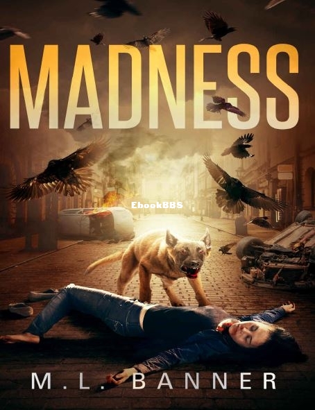 Madness - M.L. Banner.JPG
