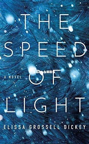 The Speed of Light.jpg