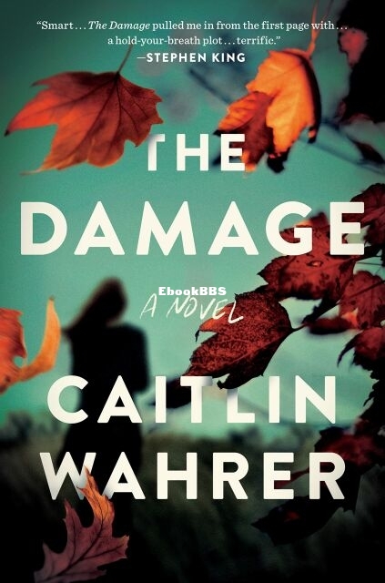 The Damage - Caitlin Wahrer.jpg