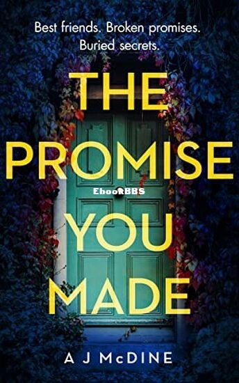 The Promise You Made.jpg