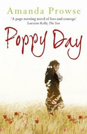 Poppy Day.jpg
