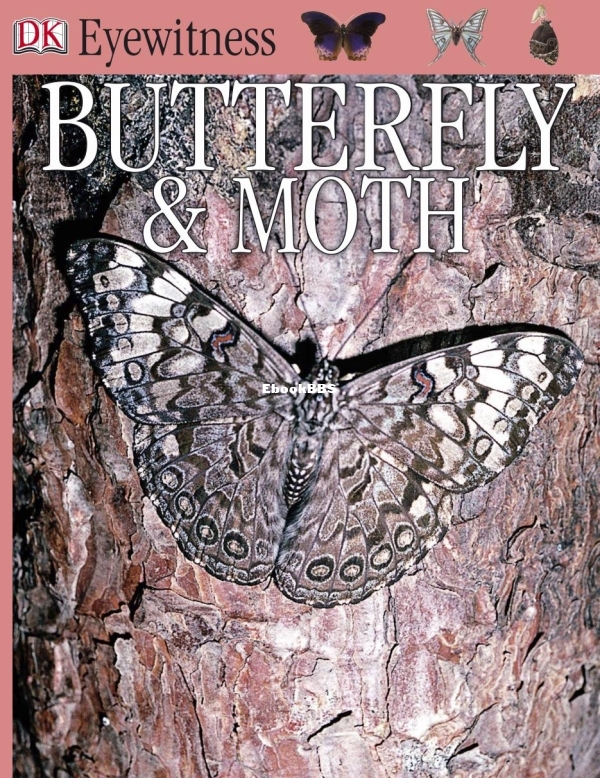 DK Eyewitness - Butterfly & Moth (2000) - 1.jpg