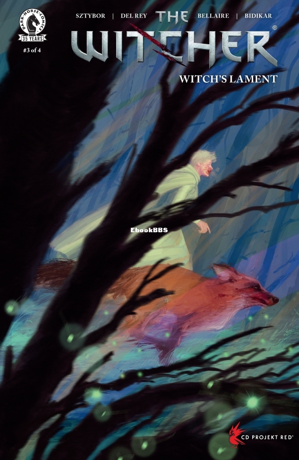 The Witcher - Witch's Lament 003-000.jpg