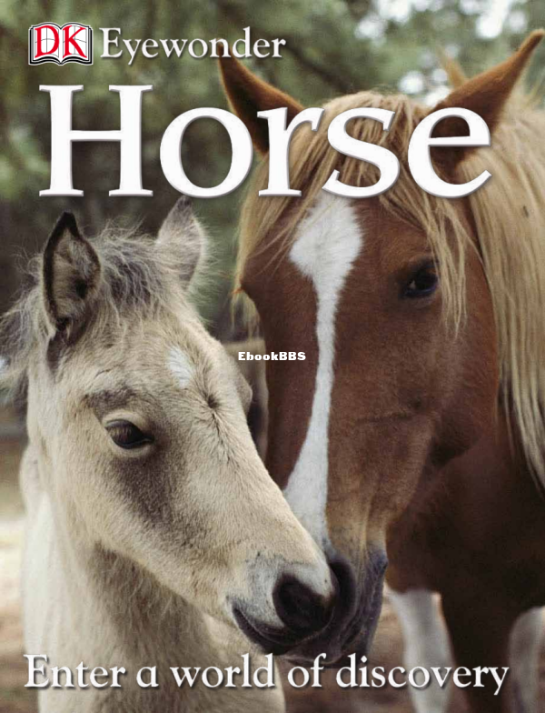 DK Eye Wonder - Horse (2010) - 1.png