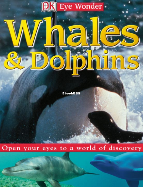 DK Eye Wonder - Whales and Dolphins (2003) - 1.png