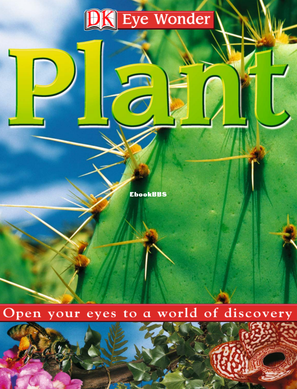 plant-dk-eye-wonder_compress - 1.png