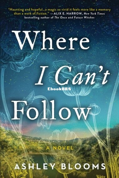 Where I Can't Follow - Ashley Blooms.jpg