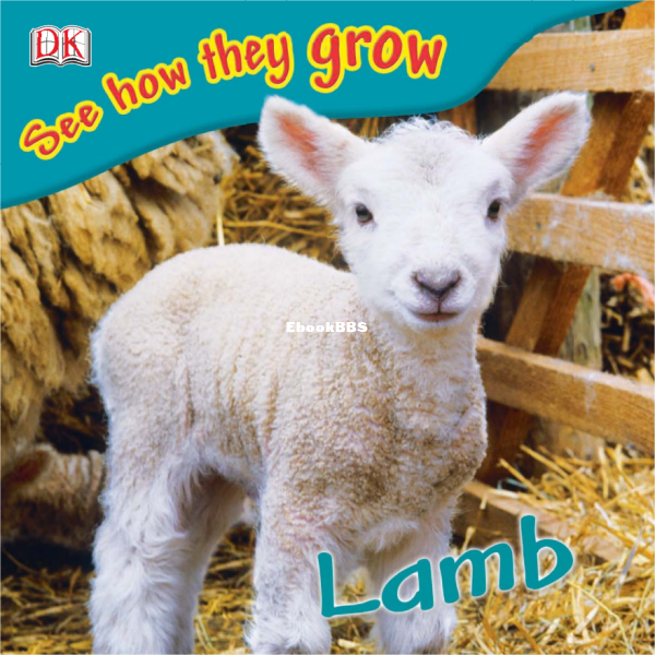 See-How-They-Grow-Lamb - 1.png