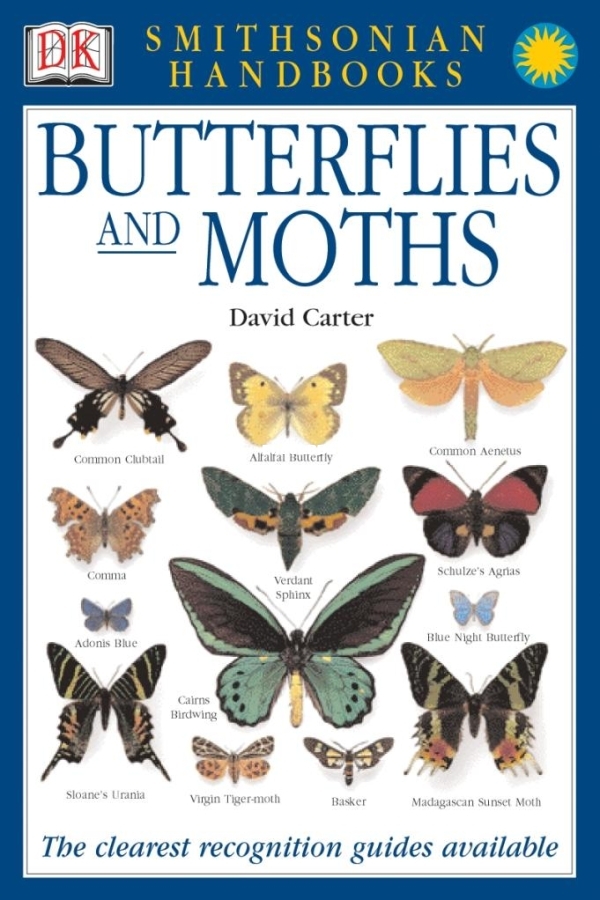 David-Carter-Butterflies-and-Moths-DK-Handbooks-z-lib-org-pdf - 1.jpg