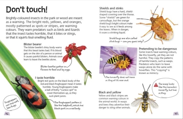Nature-Explorers-Steve-Parker-Insects-and-Spiders-DK-Publishing-2019 - 2.jpg