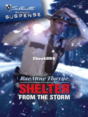 Shelter from the Storm.jpg