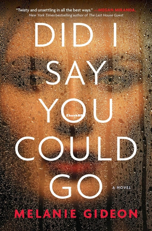 Did I Say You Could Go.jpg