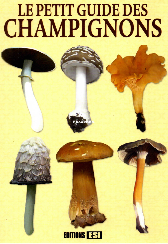 nature - le petit guide.png