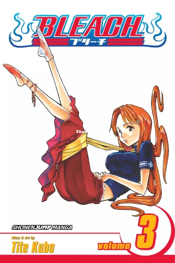 6777979-bleach 3.jpg