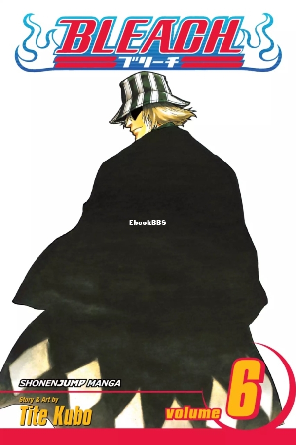 6777982-bleach 6.jpg