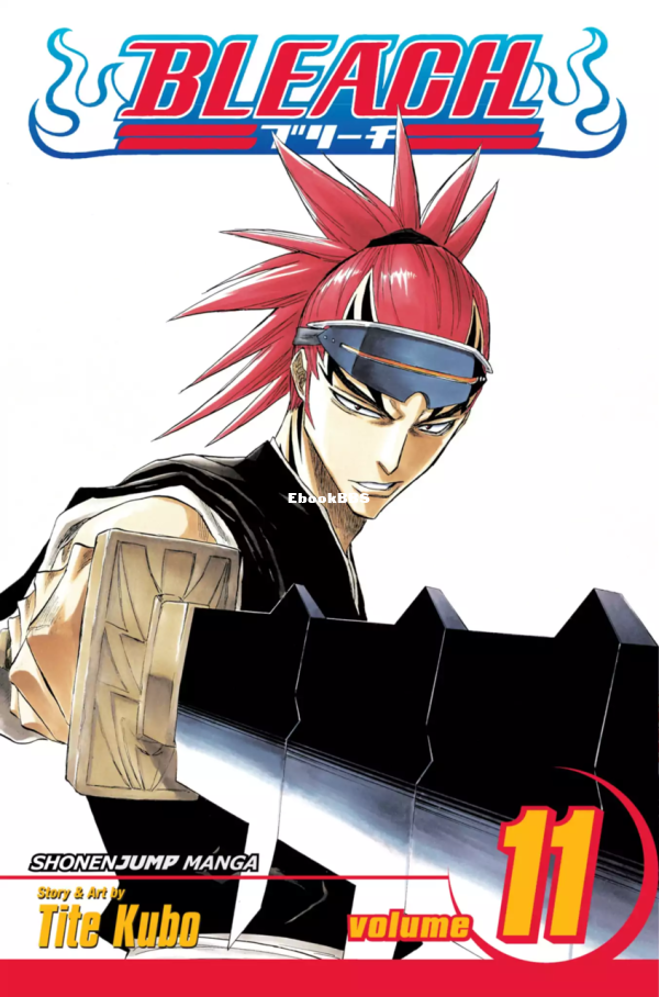 6777990-bleach 11.png