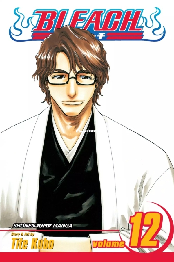 6777991-bleach 12.jpg