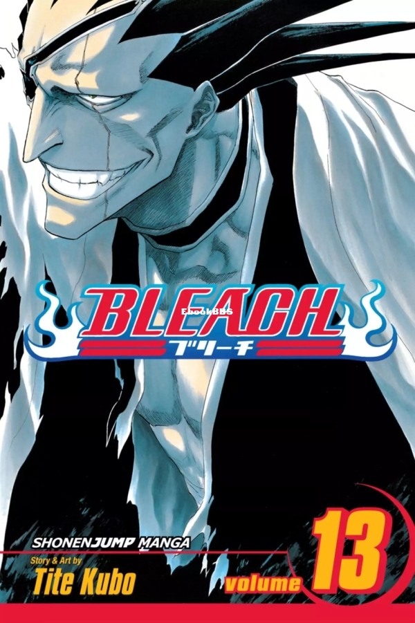 6781588-bleach 13.jpg