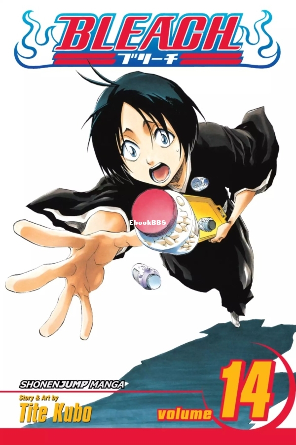 6781591-bleach 14.jpg