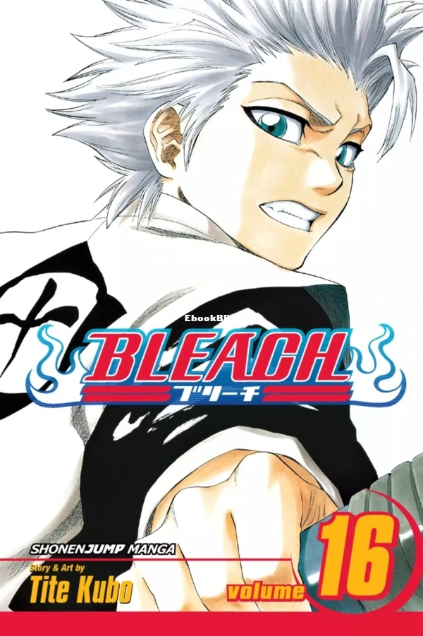 6781601-bleach 16.jpg