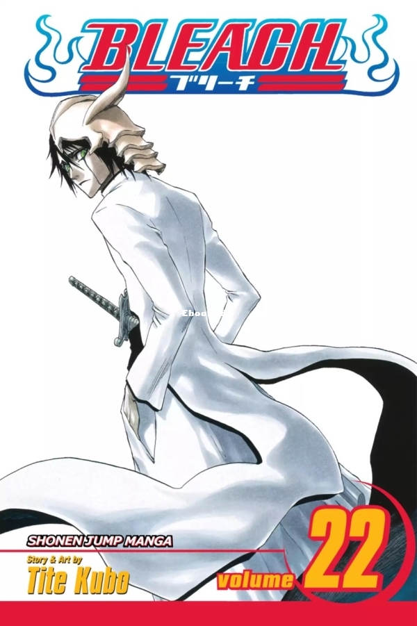 6781620-bleach 22.jpg