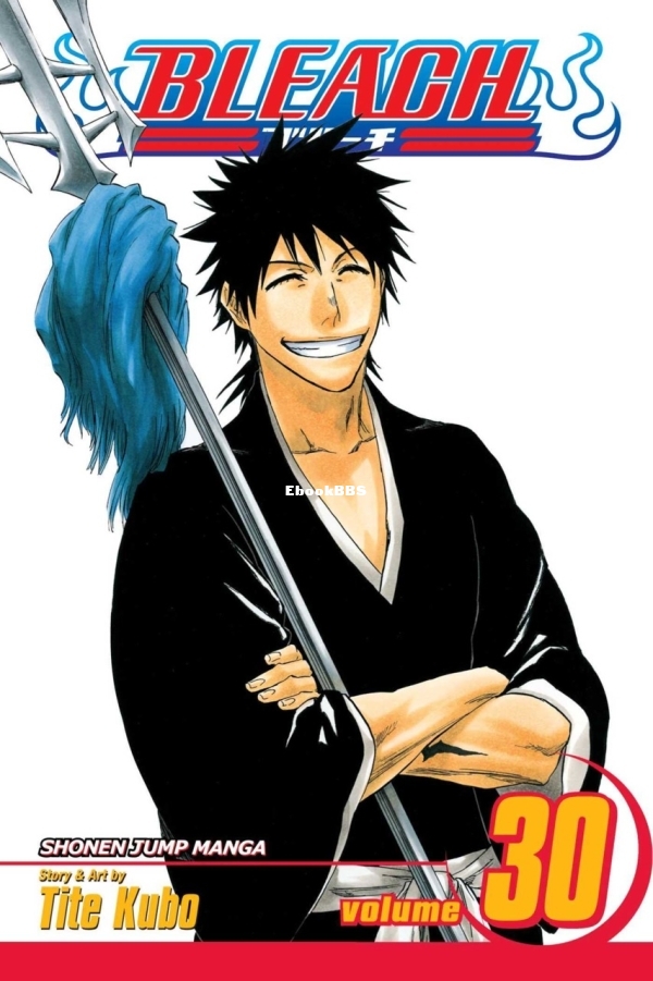 6846438-bleach 30.jpg