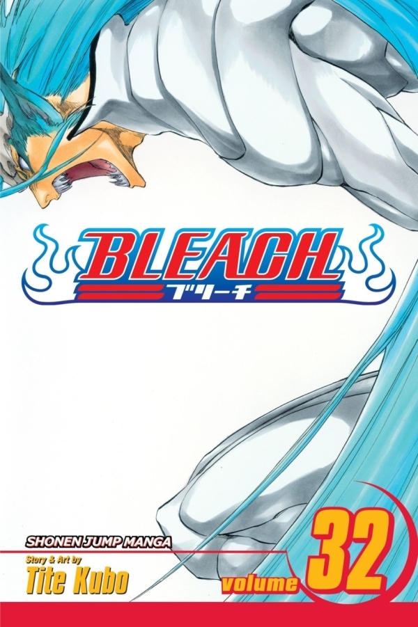 6912557-bleach 32.jpg