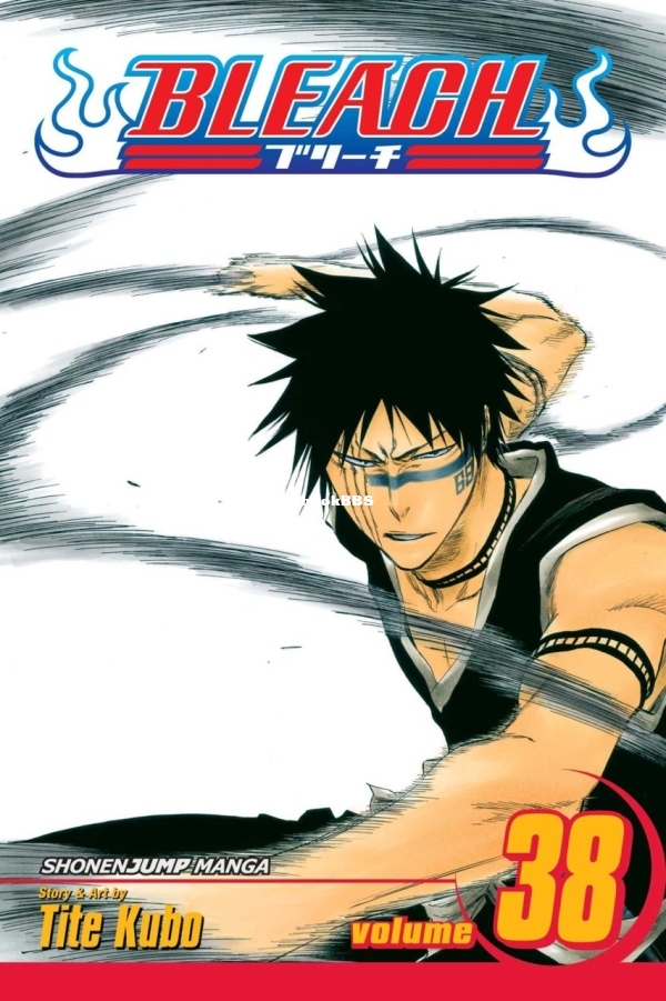 6912564-bleach 38.jpg