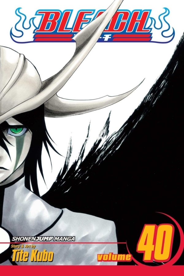6912567-bleach 40.jpg