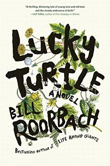 Lucky Turtle.jpg