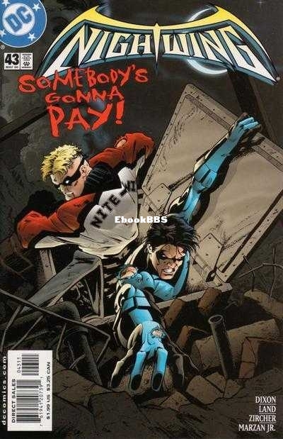 41068-5755-46344-1-nightwing.jpg