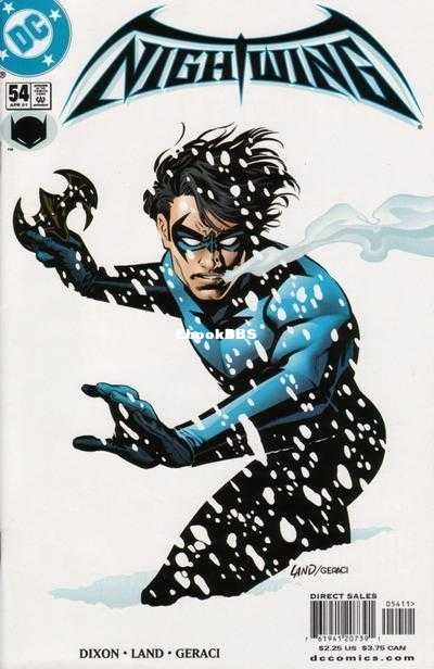 41608-5755-47050-1-nightwing.jpg