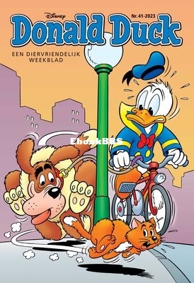 nl_dd2023_41a_001.jpeg