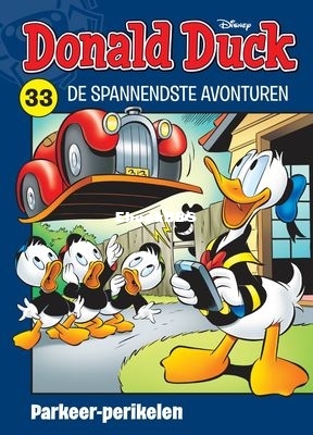 nl_ddsa_33a_001.jpeg