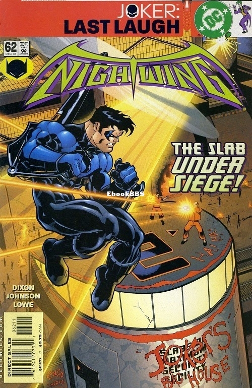 8414746-nightwing_2_62.jpg