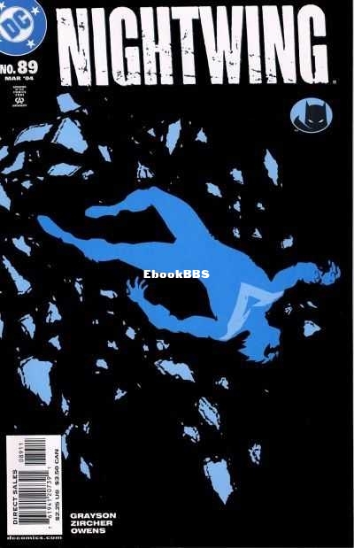 63765-5755-96761-1-nightwing.jpg