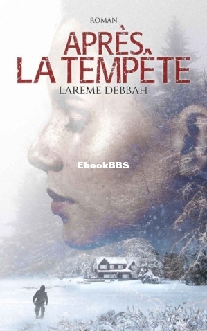 Après la tempête (Larème Debbah [Debbah, Larème]) (Z-Library).jpg