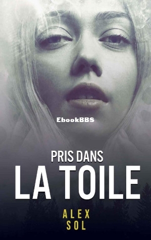 Pris dans la toile (Alex Sol) (Z-Library).jpg
