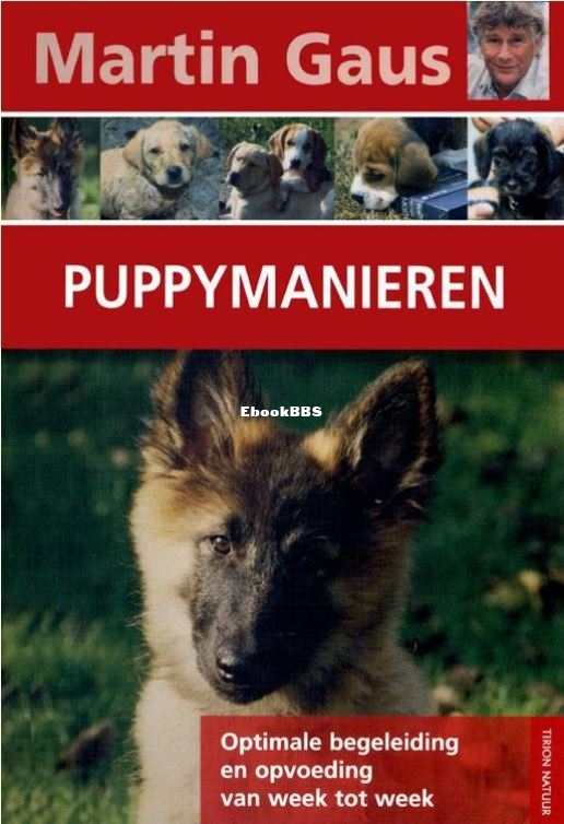 Puppy.JPG