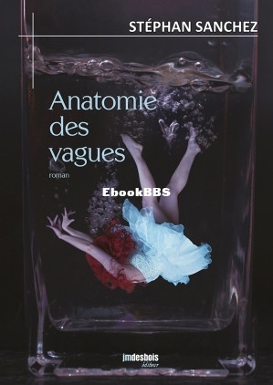 Anatomie des vagues (Stéphan Sanchez [Sanchez, Stéphan]) (Z-Library).jpg