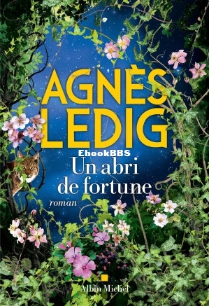 Un abri de fortune (Agnès Ledig) (Z-Library).jpg