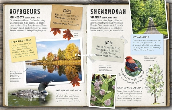 DK-The-National-Parks-Discover-all-62-National-Parks-of-the-United-States-20202.jpg