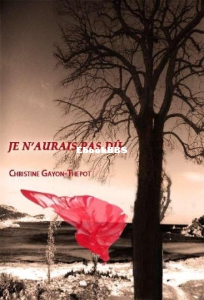 Je n aurais pas du (Thepot, Christine Gayon) (Z-Library).jpg
