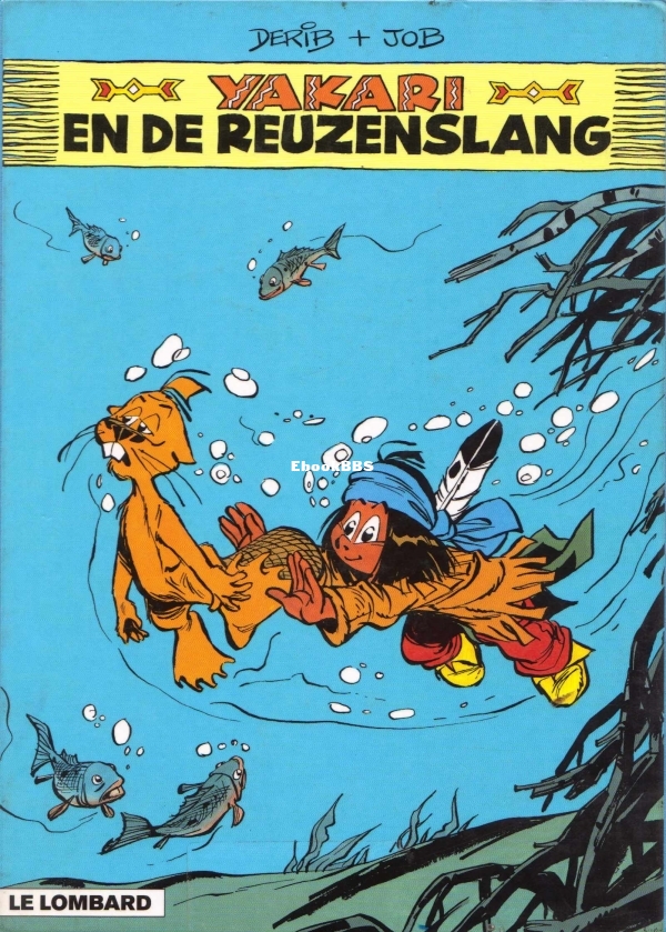 17.jpg