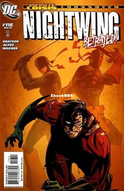710044-nightwing_116.jpg
